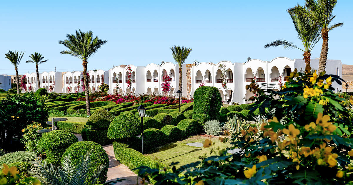 Een foto van Gorgonia Beach Resort