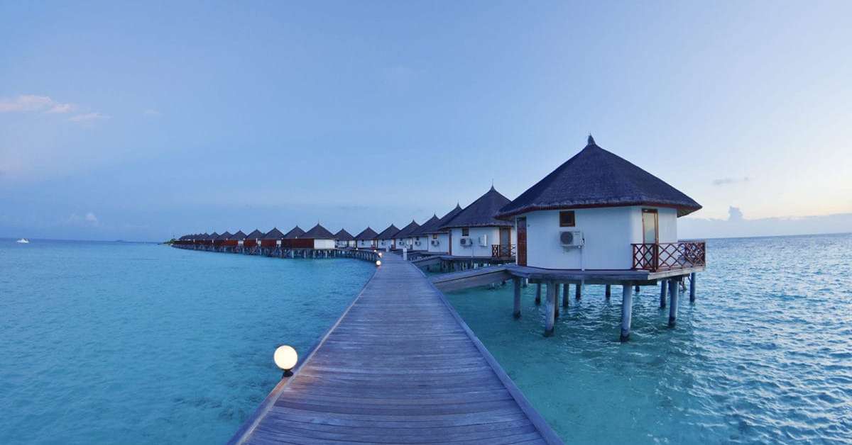Een foto van Safari Island