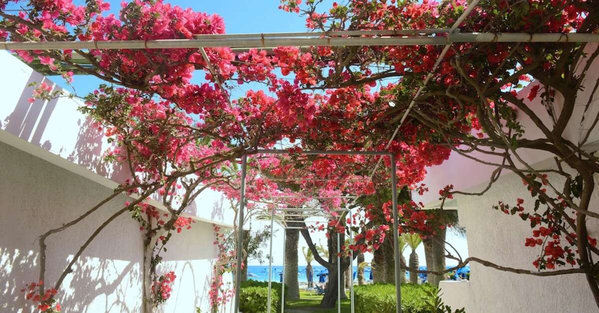 Een foto van de buitenkant van Blue Horizon Resort Hotel
