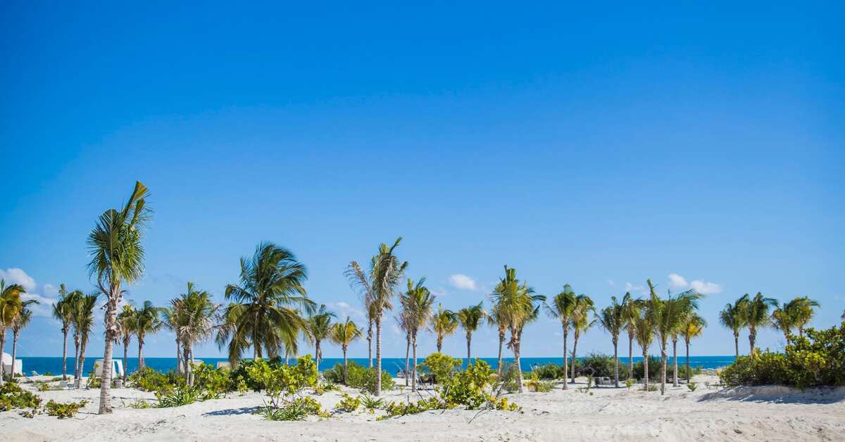 Een foto van Majestic Elegance Playa Mujeres