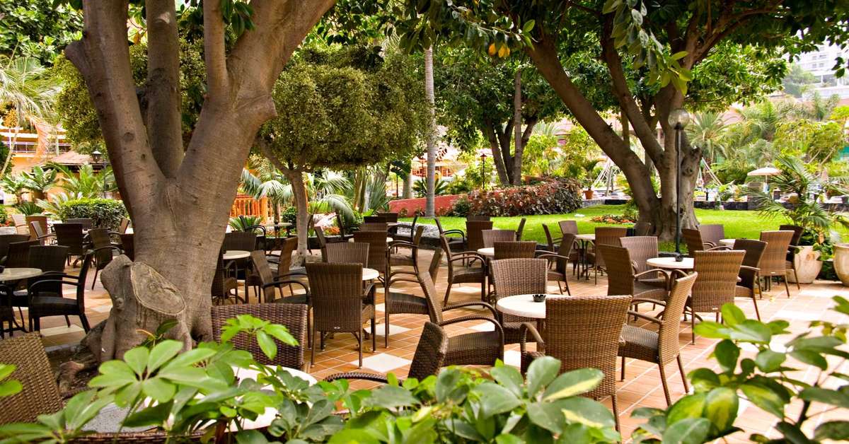 Een foto van het terras bij Sunlight Bahia Principe San Felipe