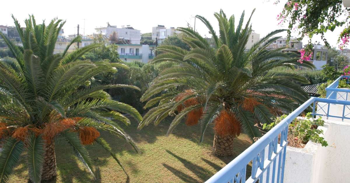 Een foto van Gorgona Hotel