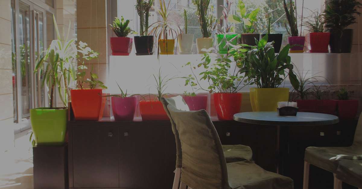 Een foto van Hotel Comfort
