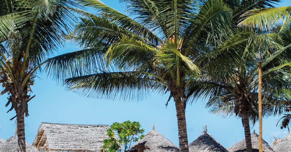 Een foto van Waridi Beach Resort & Spa