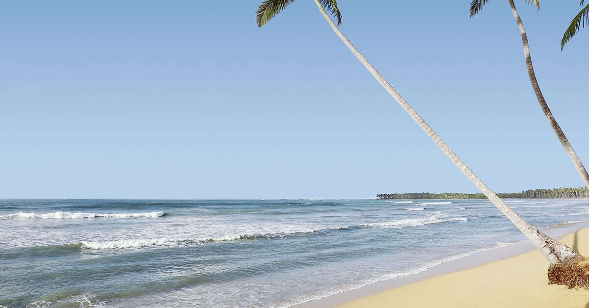 Een foto van het strand bij Viva Wyndham V Samana