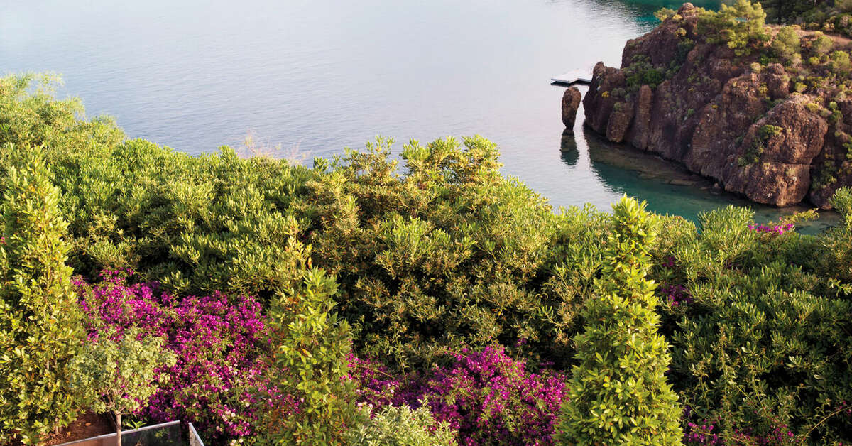 Een foto van D Maris Bay