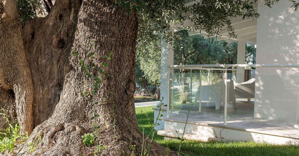 Een foto van Agriturismo Giorgio