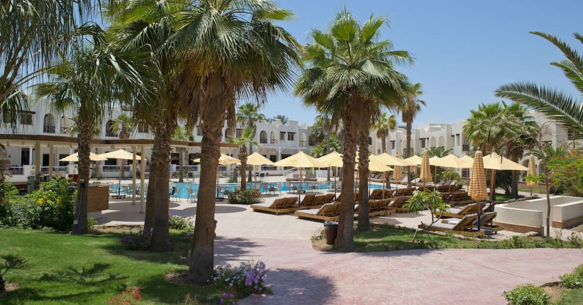 Een foto van Amphoras Aqua