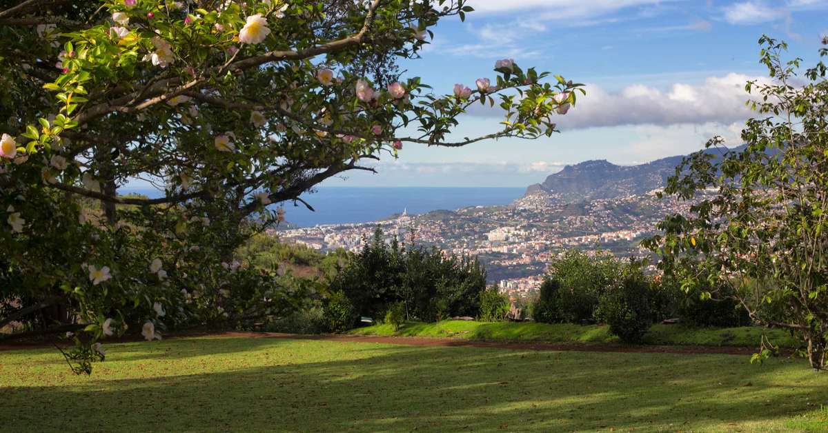 Een foto van Casa Velha Do Palheiro