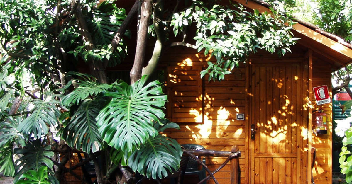Een foto van het interieur van Villaggio Verde