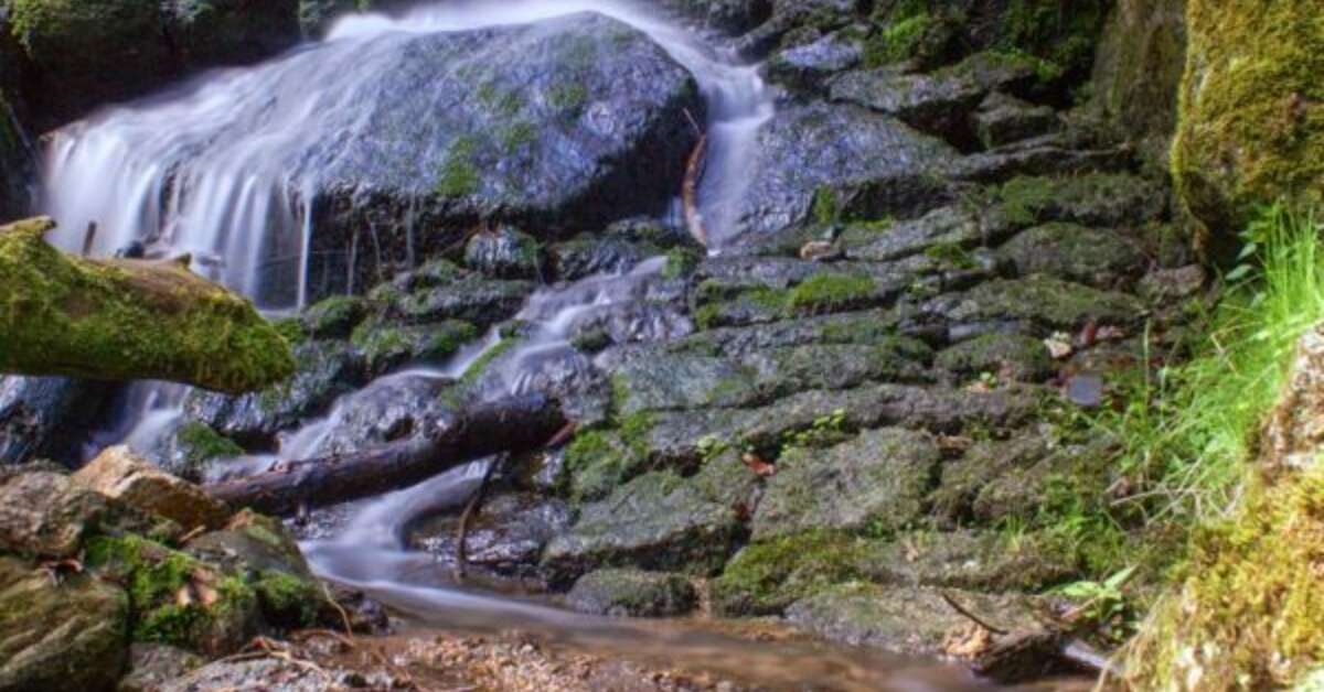 Een foto van Sonnenhotel Hoher Hahn
