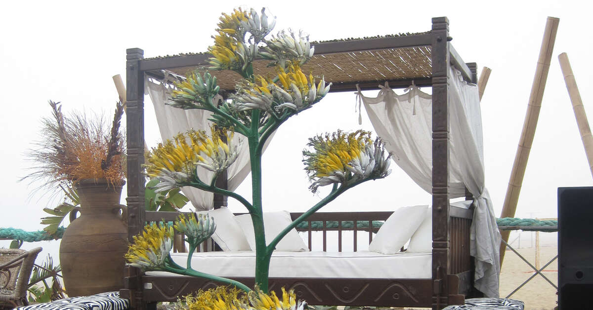 Een foto van Villaggio Turistico Internazionale La Playa