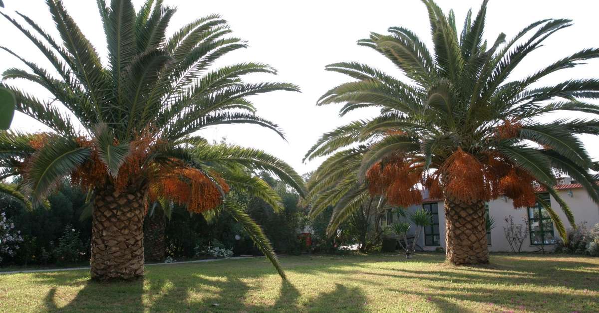 Een foto van Gorgona Hotel