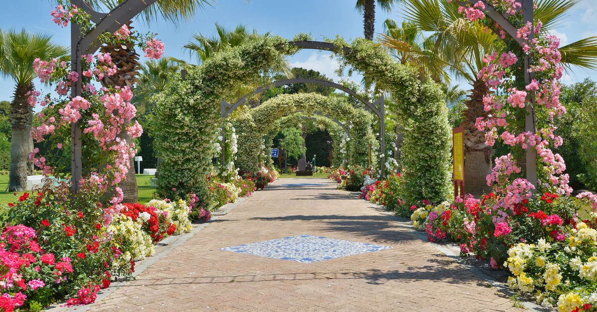 Een foto van Savoy Beach Hotel