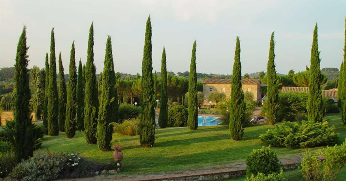Een foto van Agriturismo La Sovana