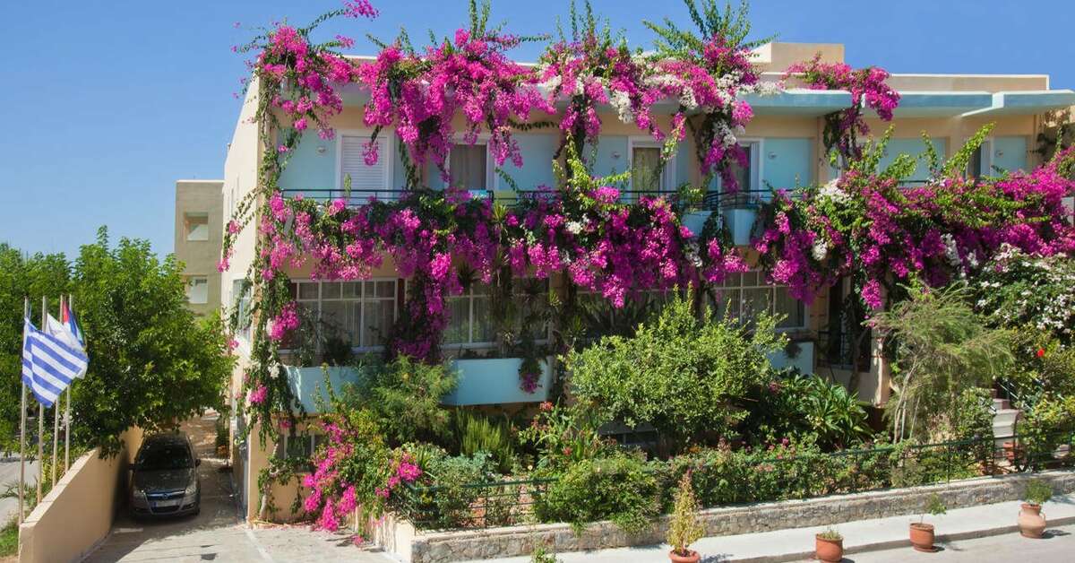 Ein Foto von der Außenansicht des Dedalos Beach Hotel