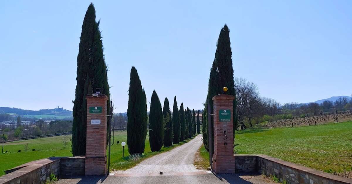 Een foto van Torrebianca Tuscany