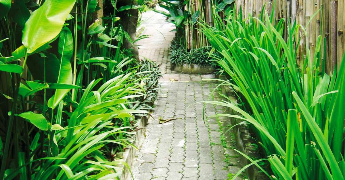 Een foto van The Ubud Village Hotel