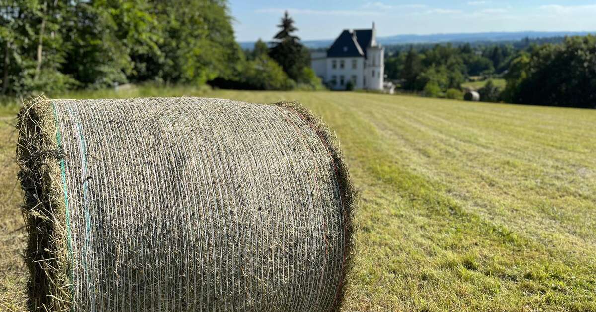 Een foto van Landhotel Harz