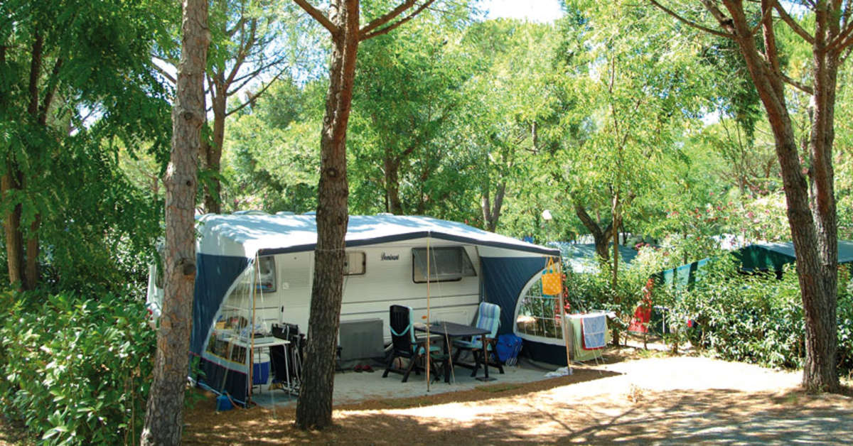 Een foto van Camping La Baume - La Palmeraie