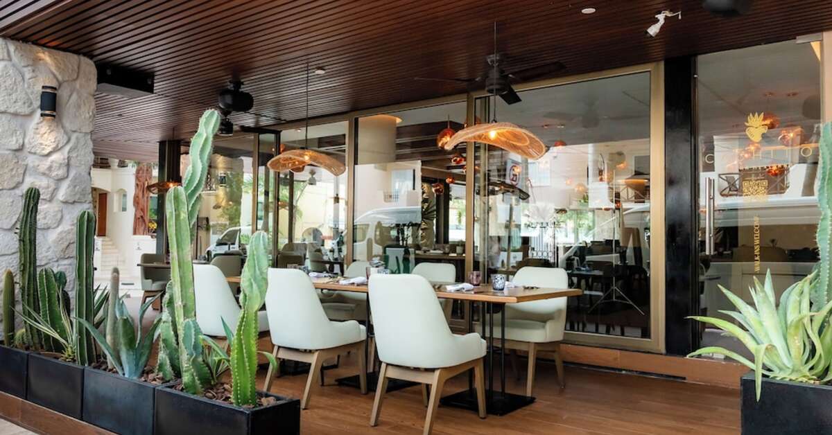 Een foto van The Reef 28