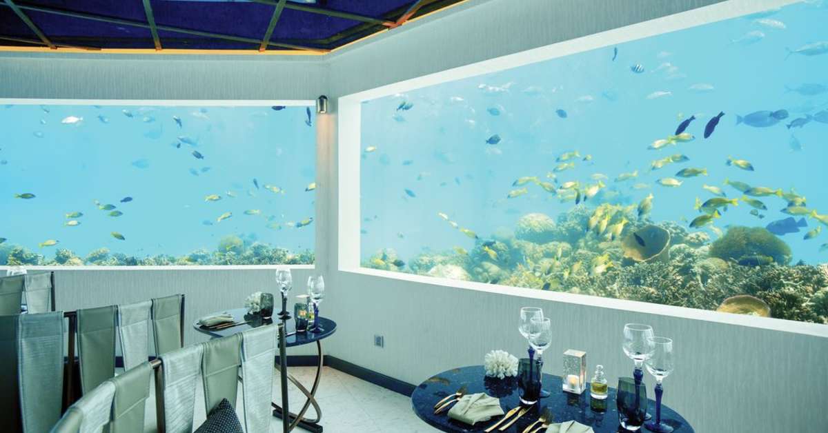 Een foto van Ozen Life Maadhoo