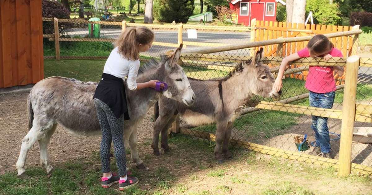 Een foto van Felsenhof Bungalowpark & Camping
