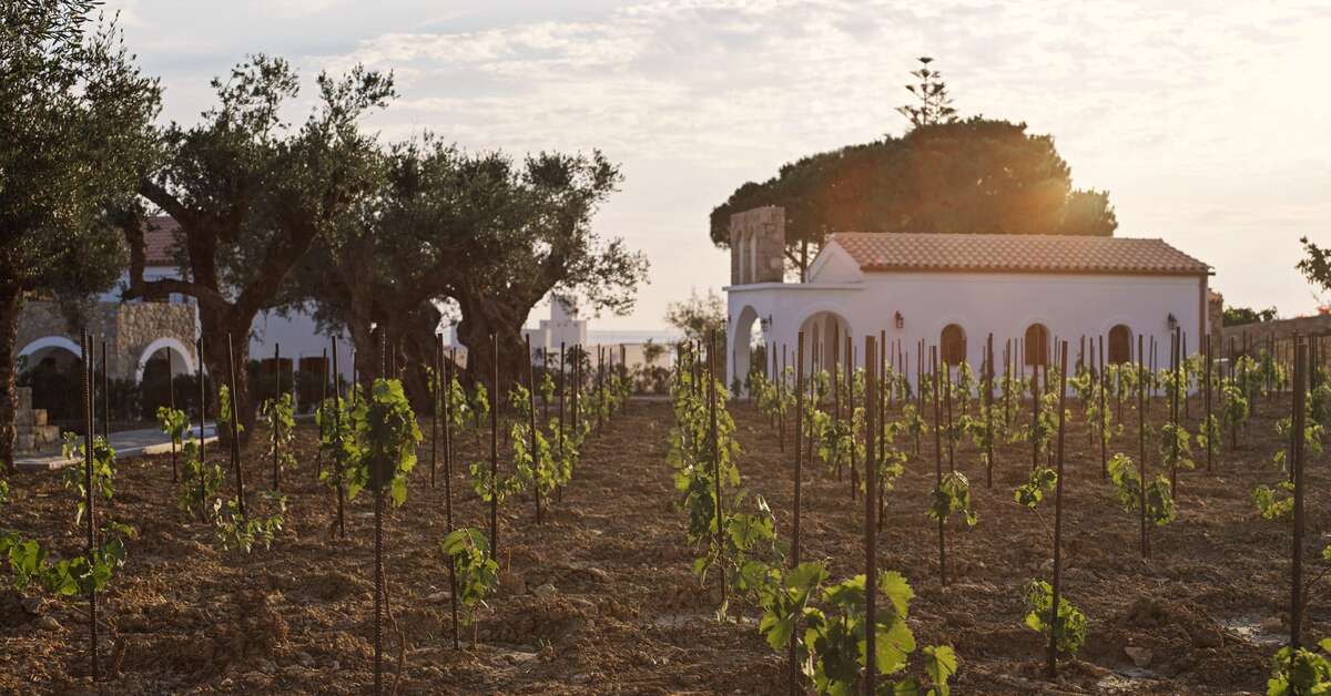 Een foto van Lesante Cape Resort & Villas