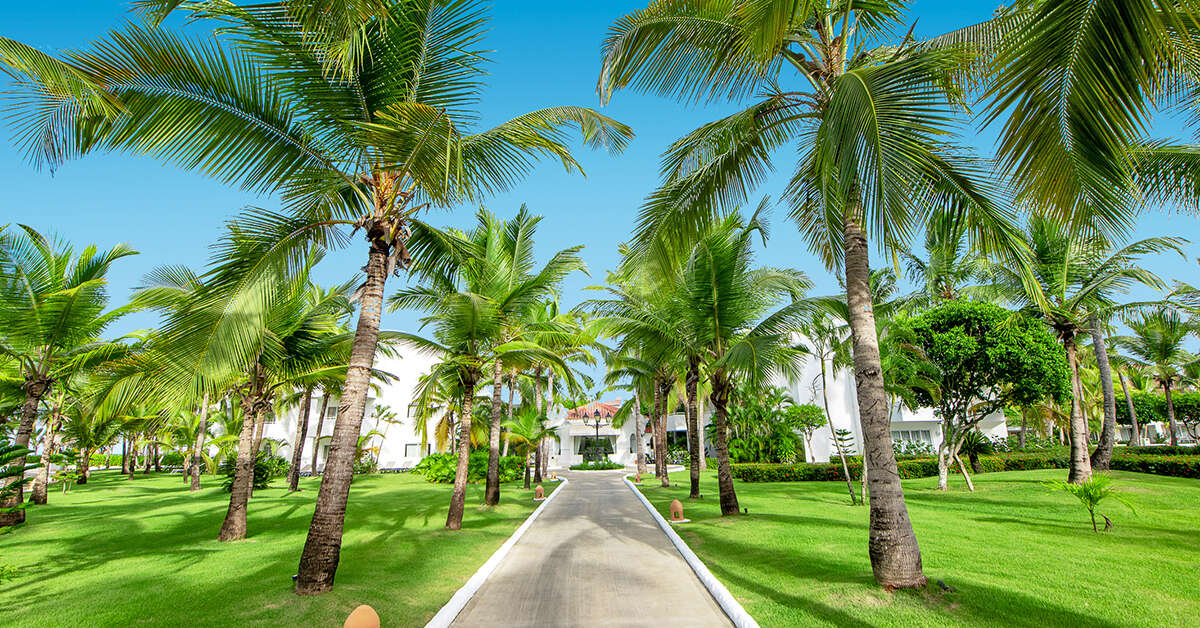 Ein Foto Occidental Grand Punta Cana Resort