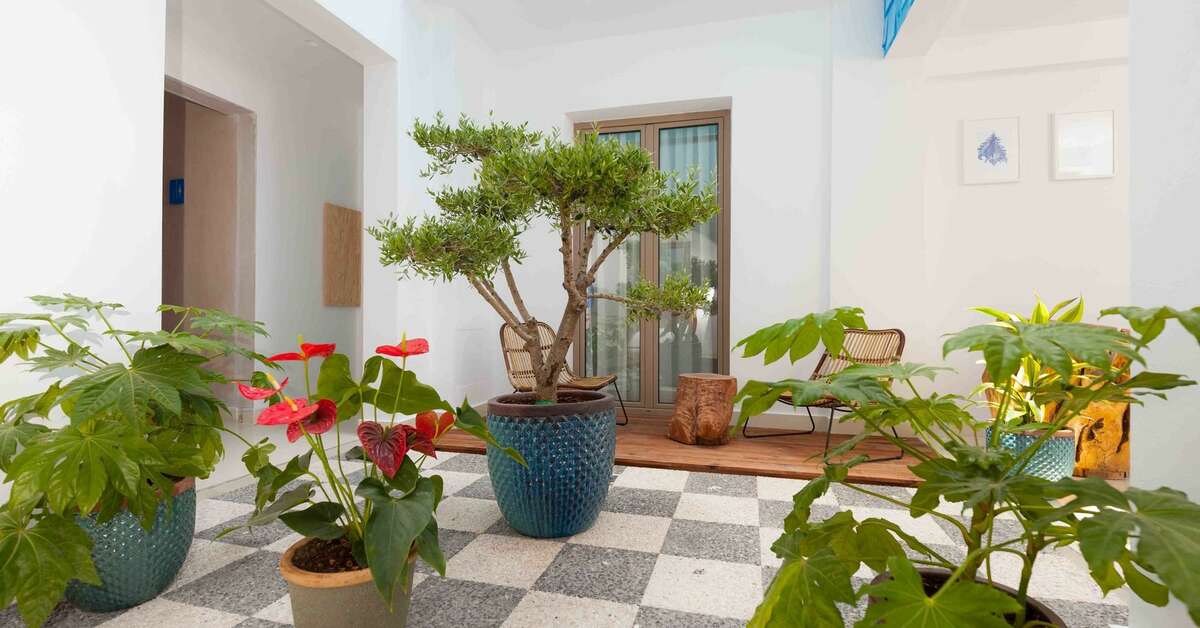Een foto van het interieur van Enorme Serenity Spritz