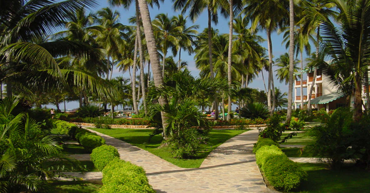 Een foto van het terras bij Hotel Playa Colibri