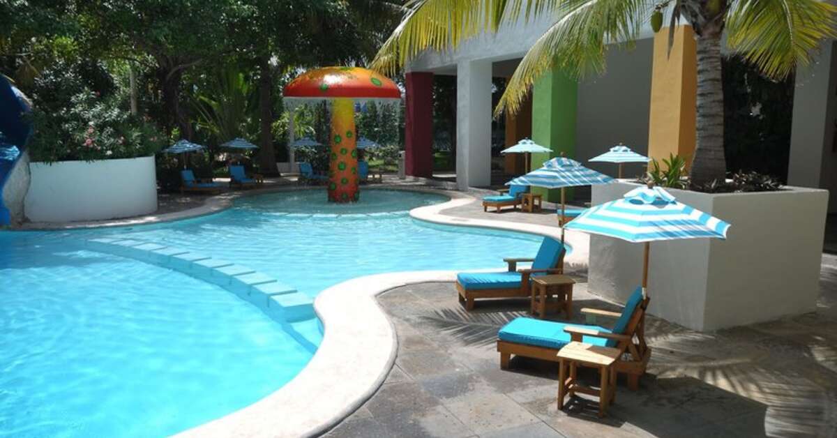 Een foto van Oasis Palm