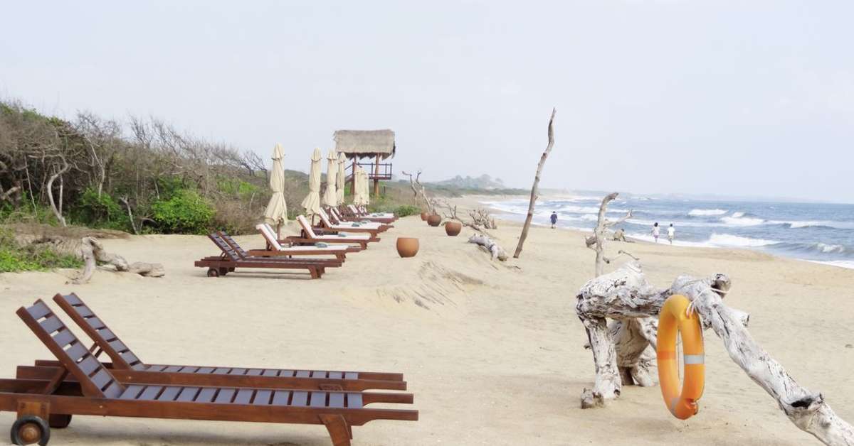 Een foto van Jungle Beach Resort