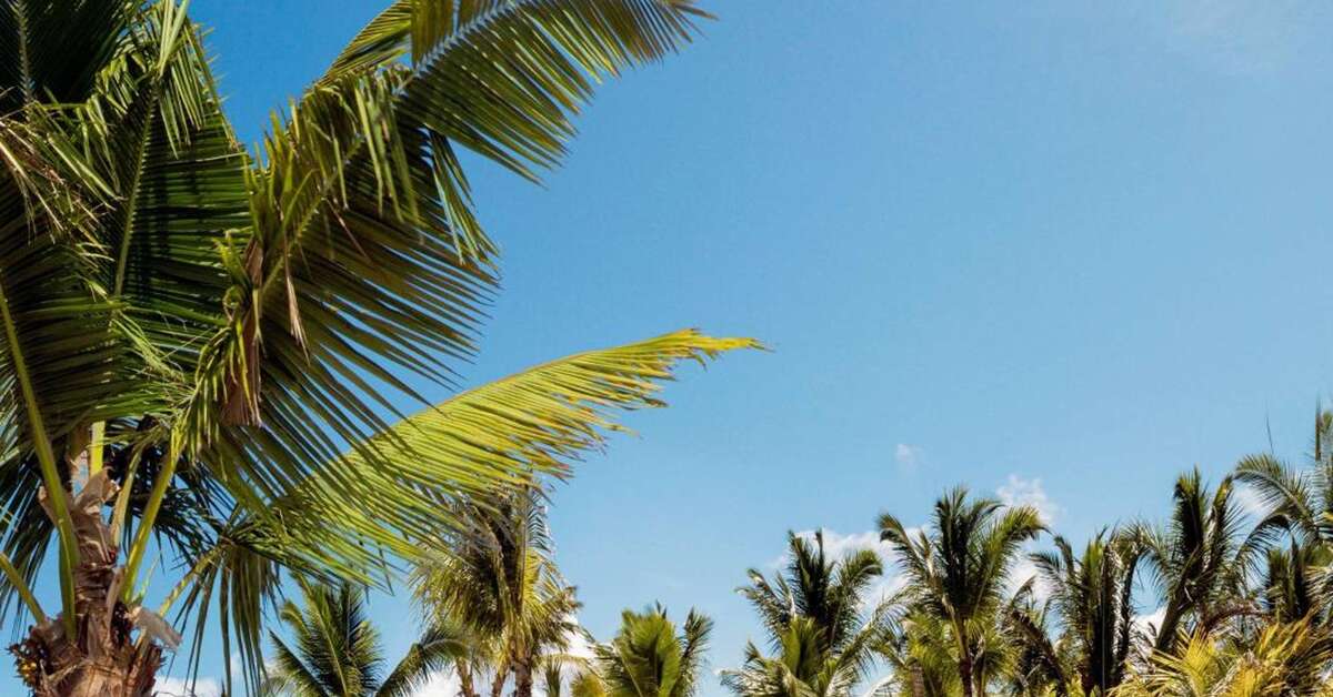 Een foto van One & Only Le Saint Geran