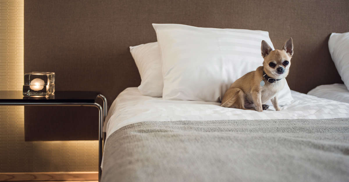 Een foto van Hotel Helka