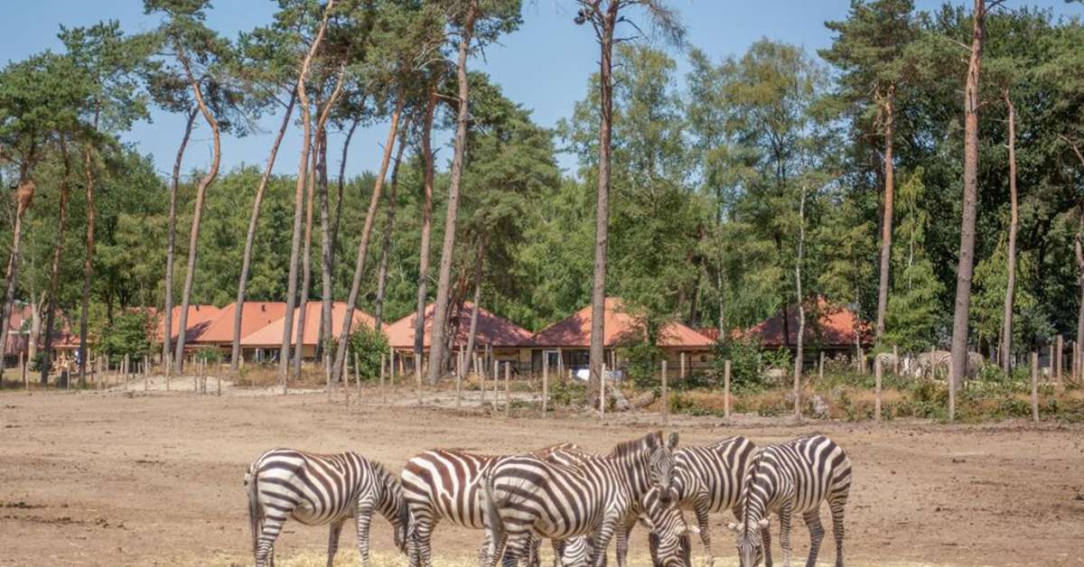 Een foto van Safari Resort Beekse Bergen