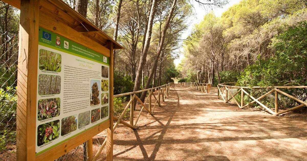 Een foto van Torreserena Village