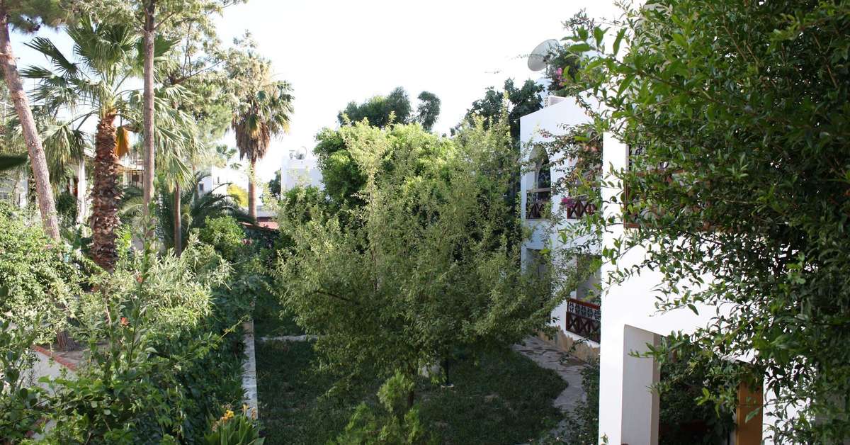Een foto van de buitenkant van Hotel Toloman