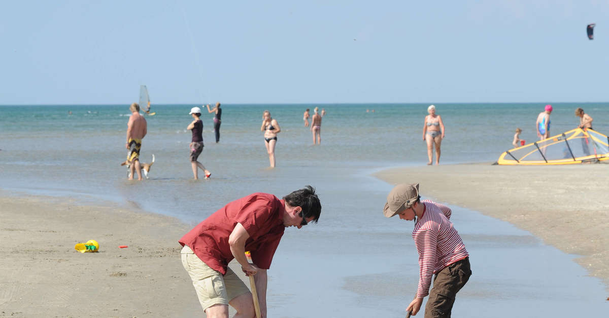 Een foto van Ribe Byferie