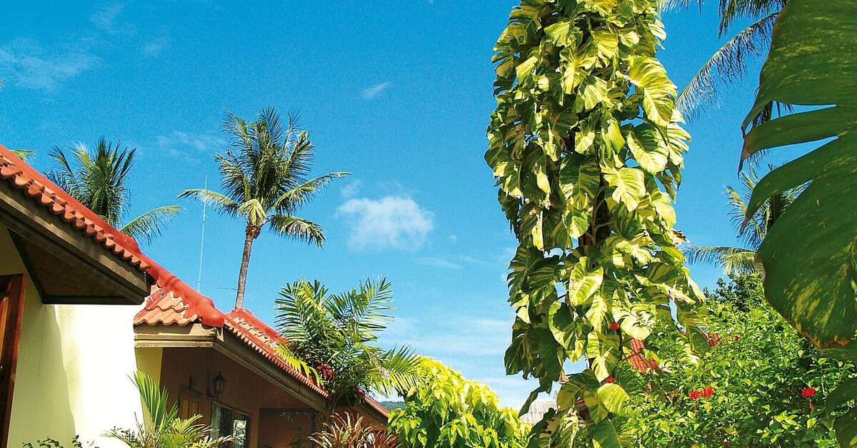 Een foto van Chaweng Cove Beach Resort