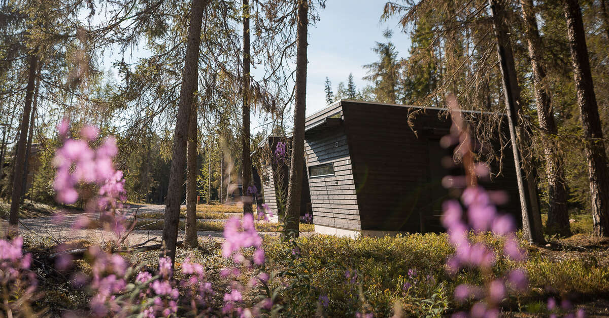 Een foto van Vaattunki Wilderness Resort