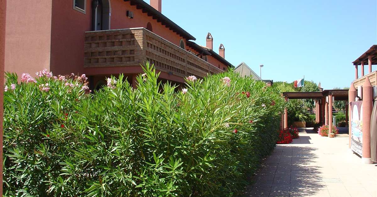 Een foto van Residenza dei Cavalleggeri