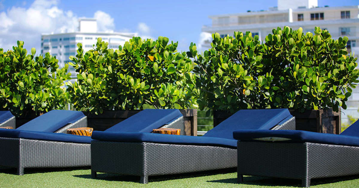 Een foto van The Catalina Hotel & Beach Club