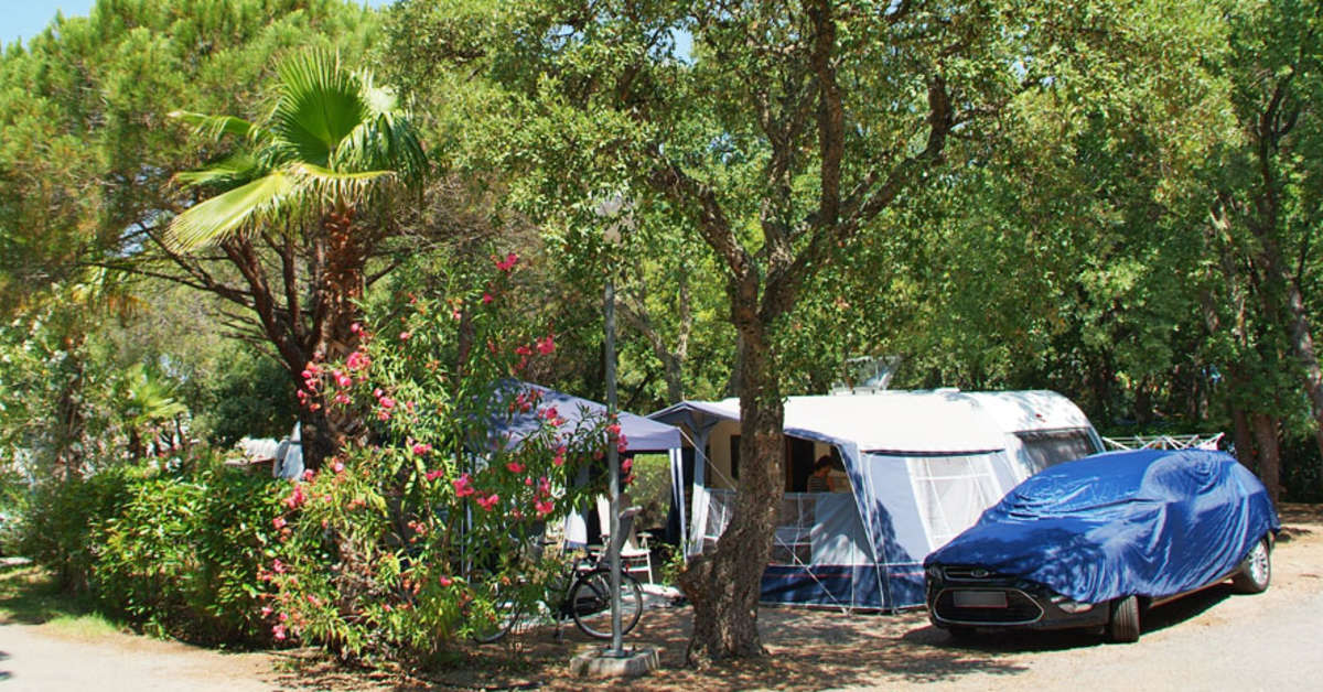 Een foto van Camping La Baume - La Palmeraie