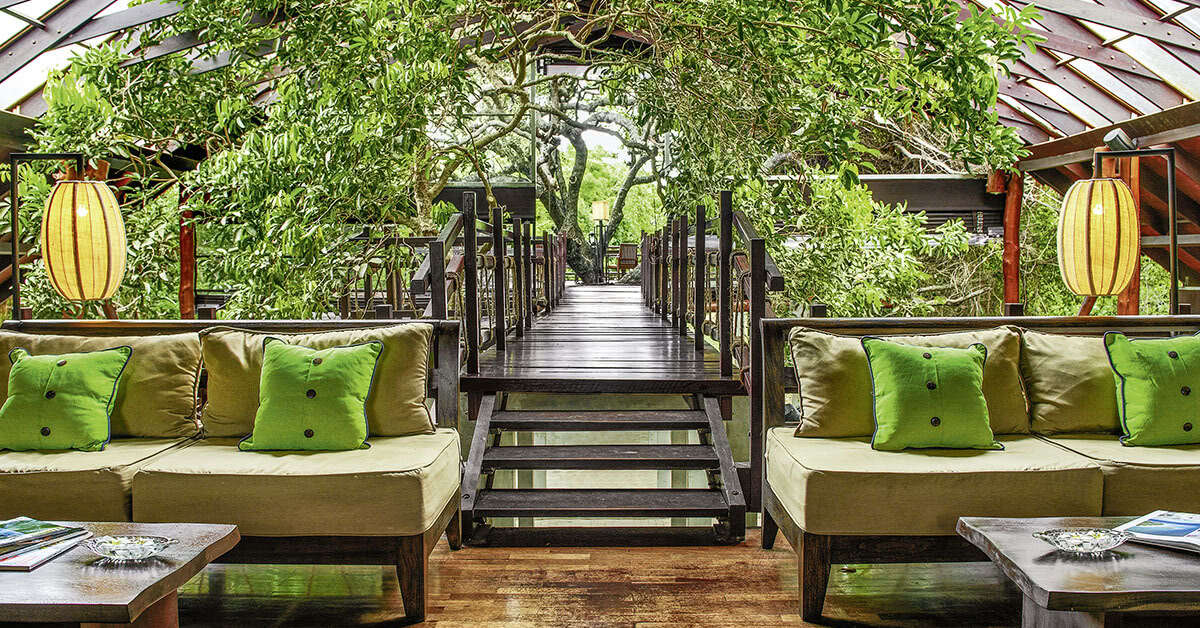 Een foto van Jungle Beach Resort