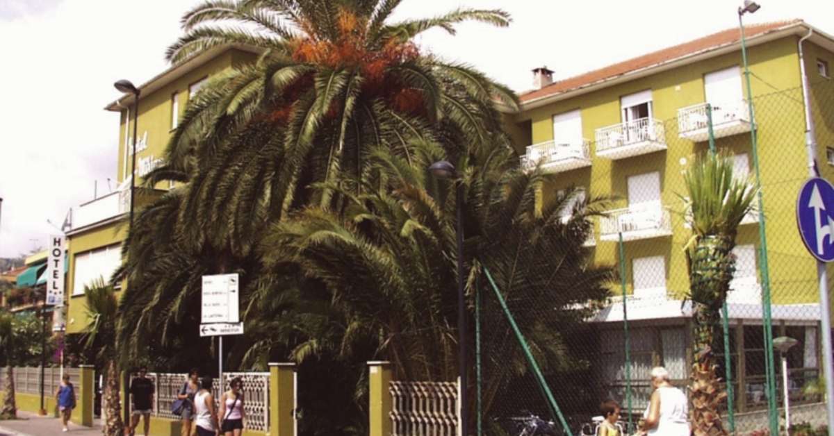 Een foto van Hotel Miriam