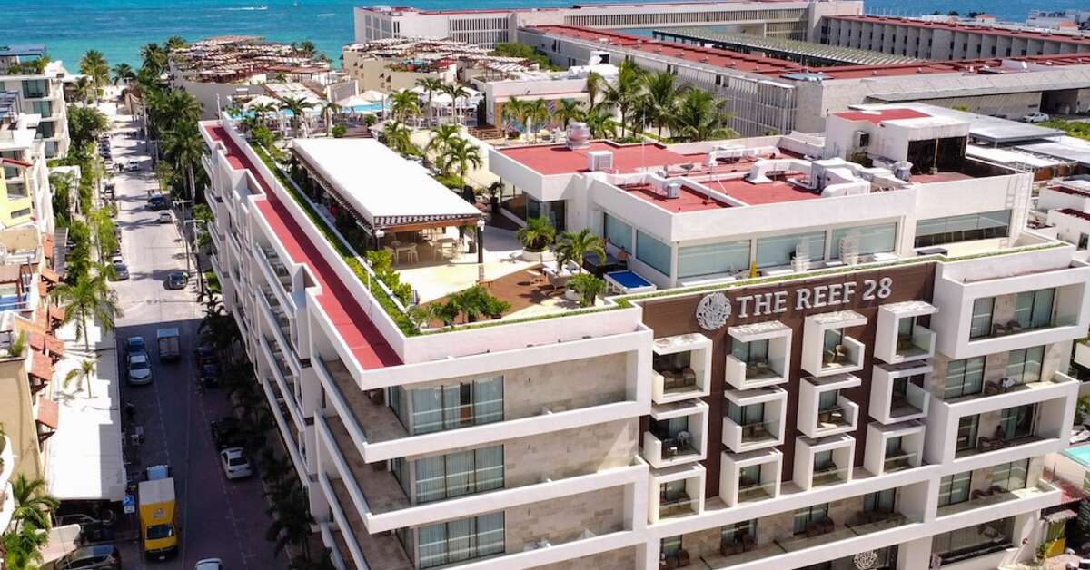 Een foto van The Reef 28