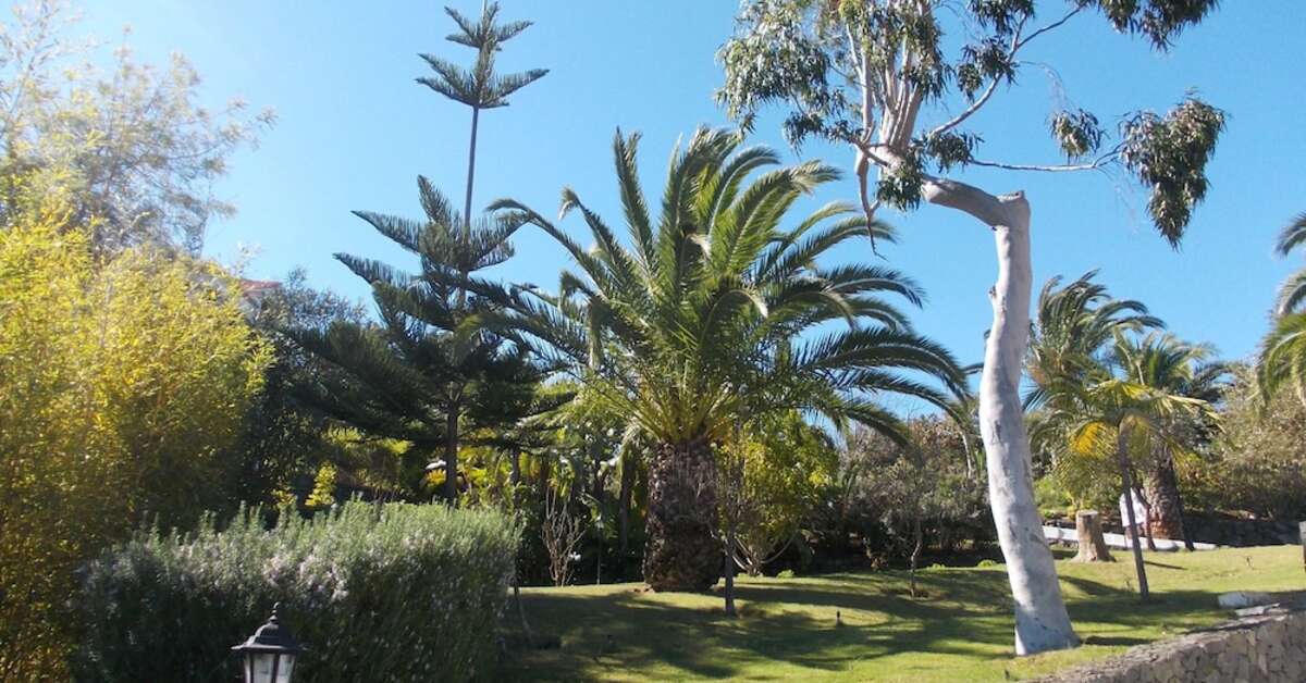 Een foto van Hotel La Palma Romantica