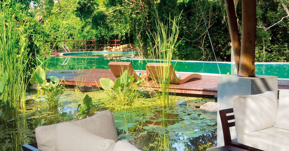 Een foto van Jungle Beach Resort