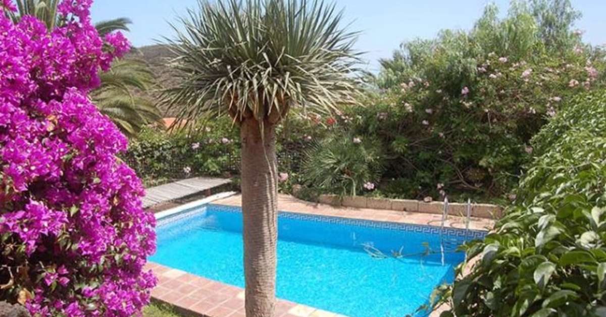 Een foto van het zwembad bij Casa San Miguel